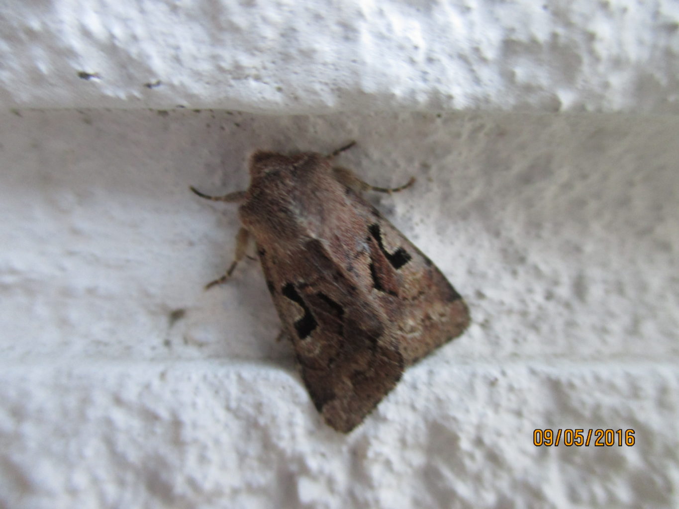 Valokuvaaja: yrjo lukkari