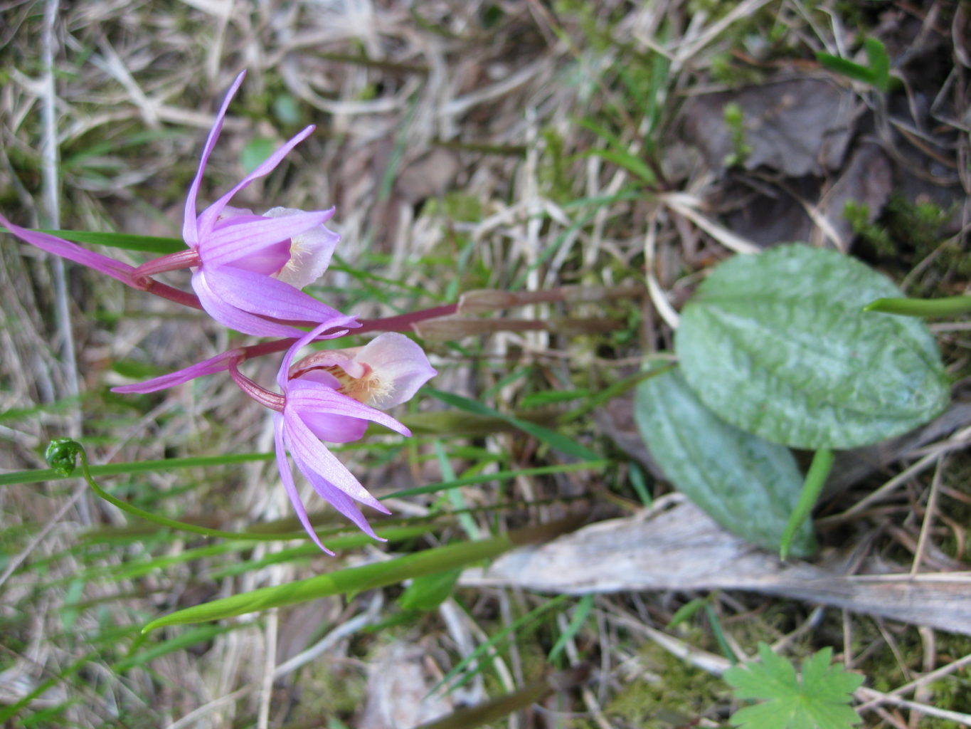 Valokuvaaja: yrjo lukkari
