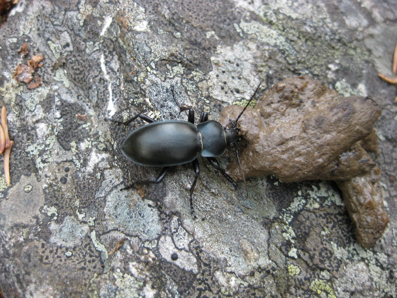 Valokuvaaja: yrjo lukkari