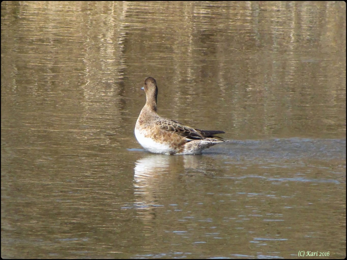 Valokuvaaja: Kari Saarinen