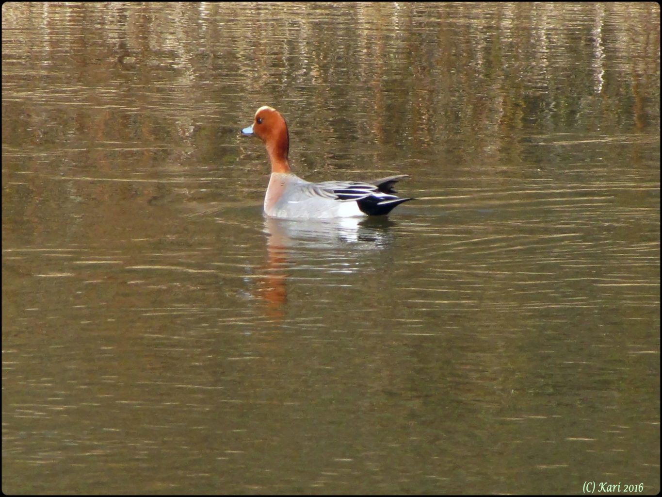 Valokuvaaja: Kari Saarinen