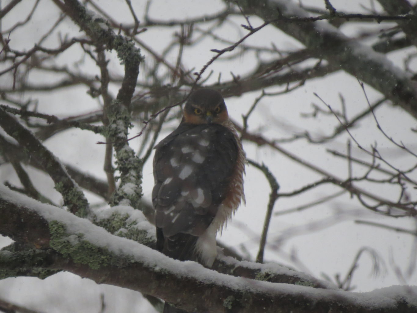 Valokuvaaja: Minna Kähkönen