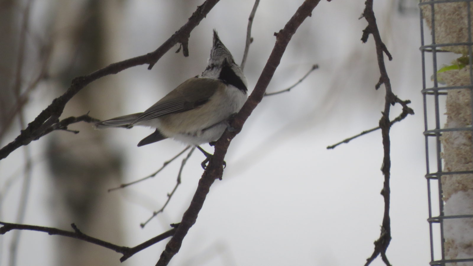 Valokuvaaja: Minna Kähkönen Valokuvaaja: Minna Kähkönen