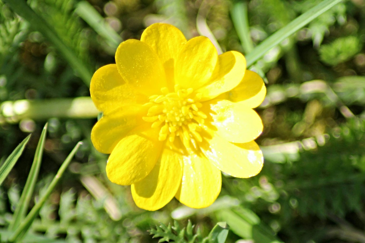 Valokuvaaja: Miia Pesu Valokuvaaja: Miia Pesu