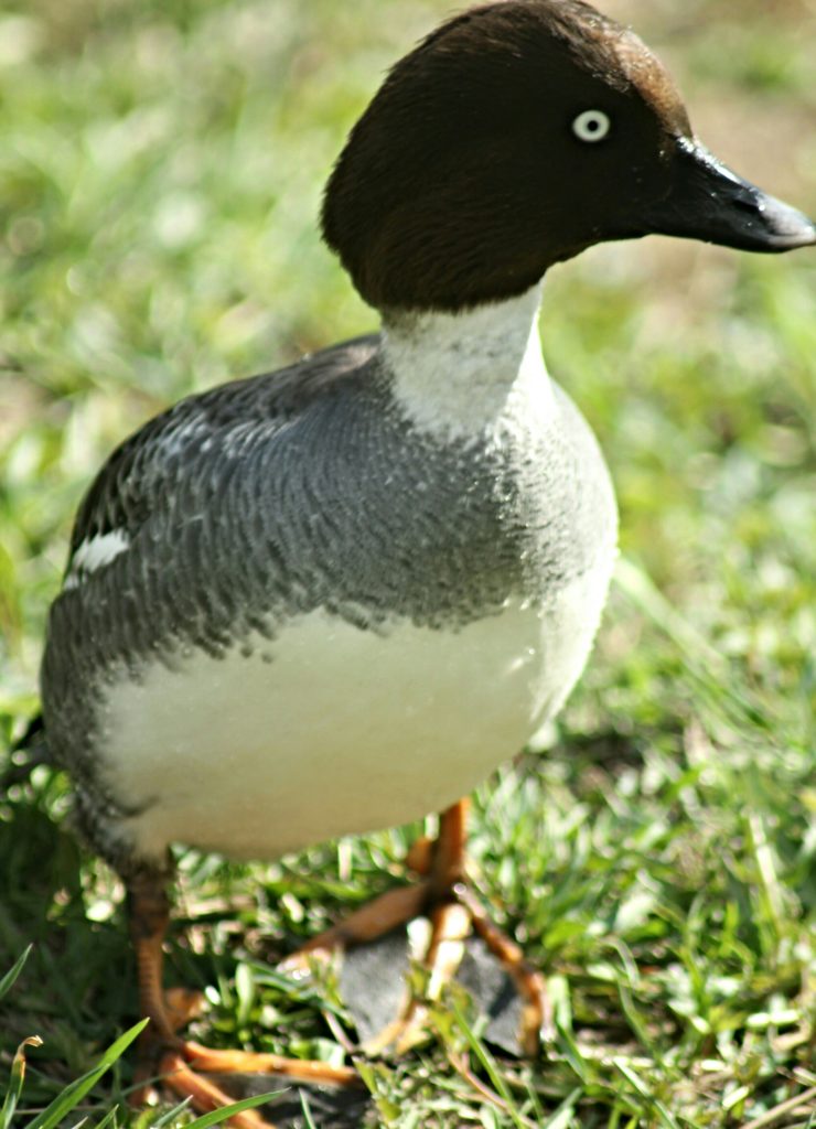 Valokuvaaja: Miia Pesu