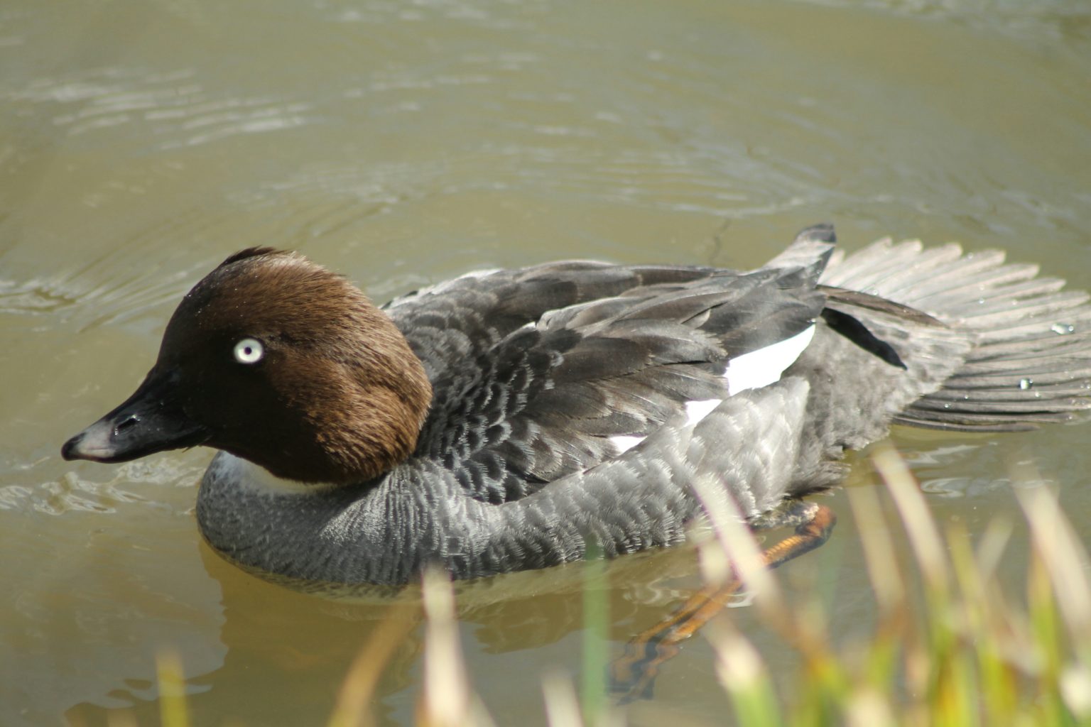 Valokuvaaja: Miia Pesu Valokuvaaja: Miia Pesu