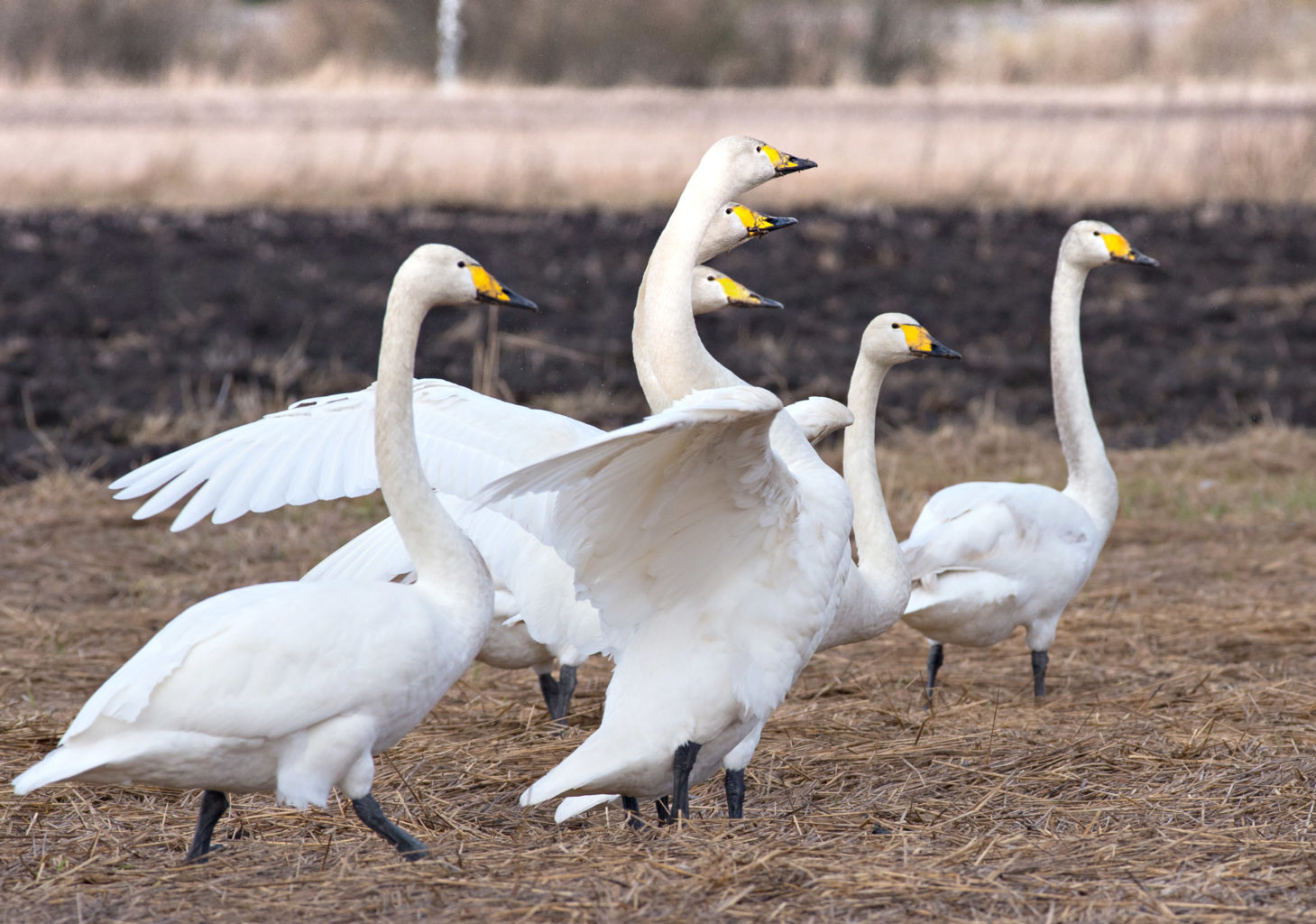 Valokuvaaja: Sakari Ekko