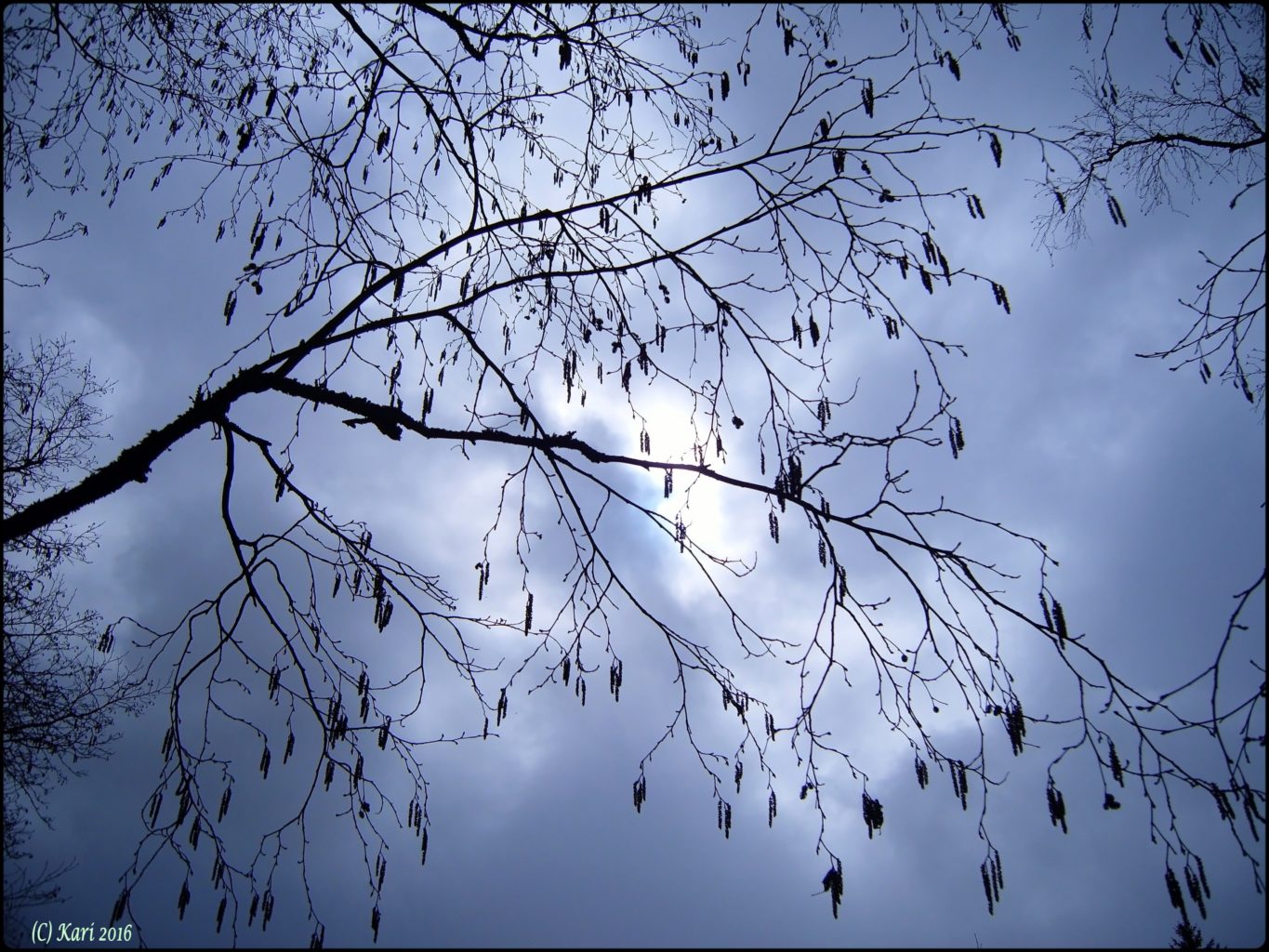 Valokuvaaja: Kari Saarinen