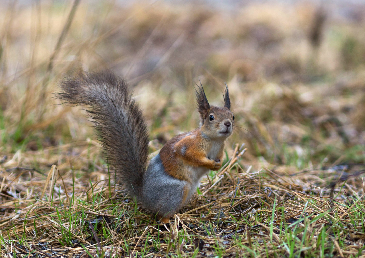 Valokuvaaja: Irma Kortekallio