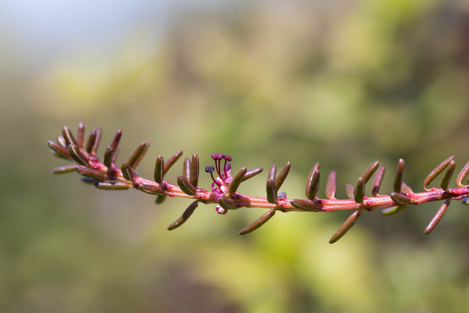Valokuvaaja: Irma Kortekallio Valokuvaaja: Irma Kortekallio