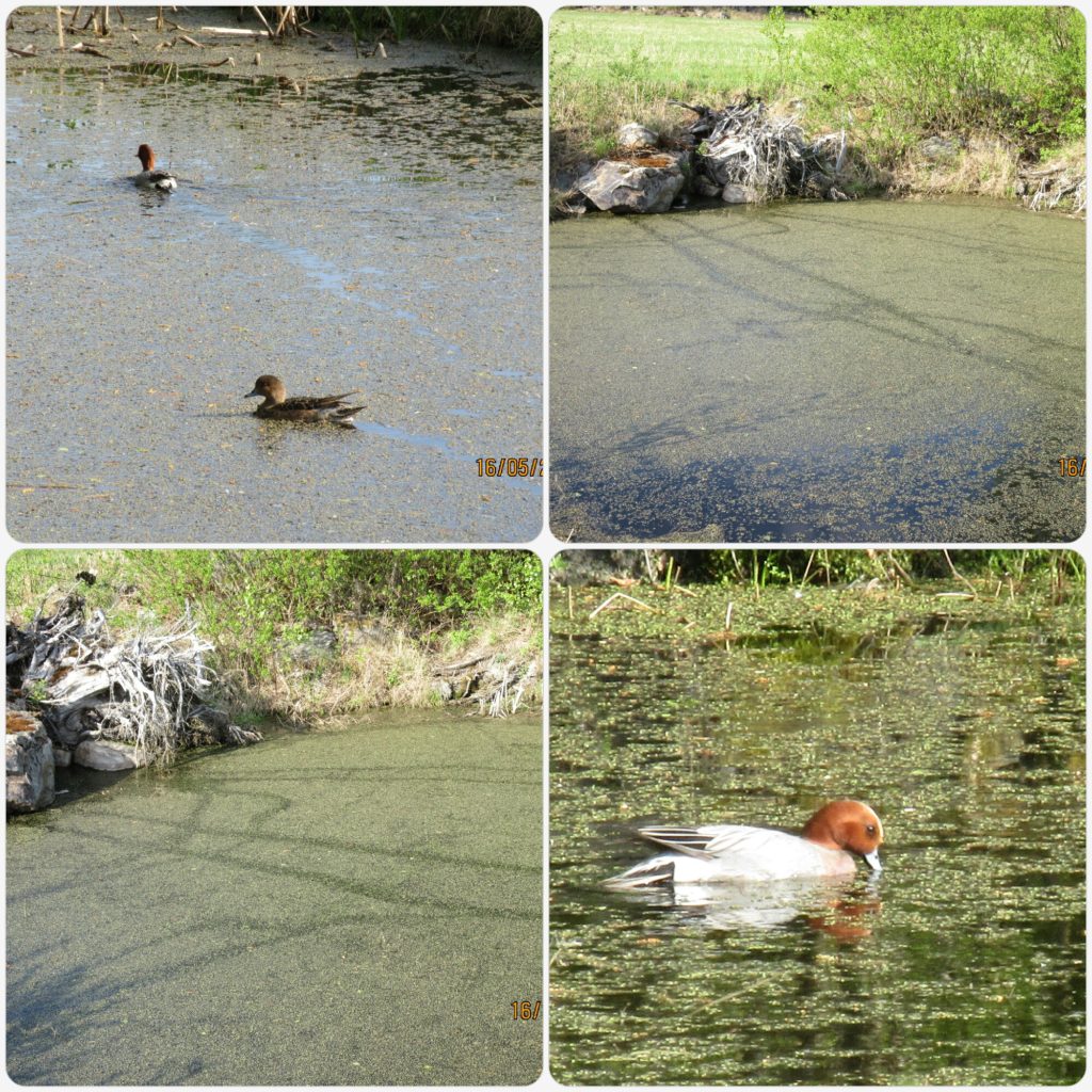 Valokuvaaja: Tuula Makkonen