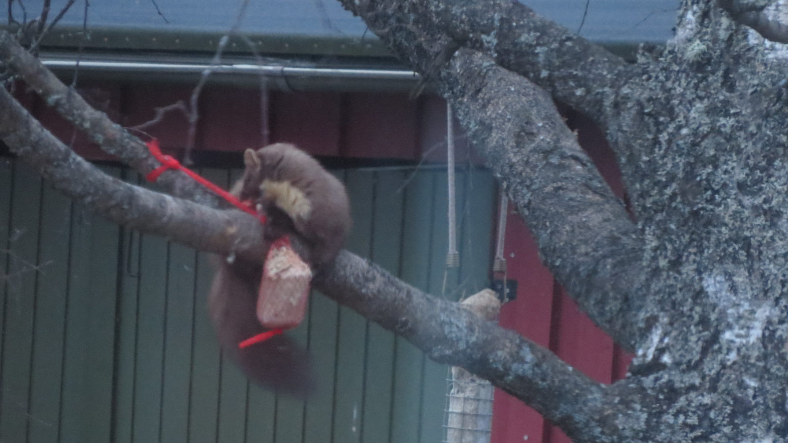 Valokuvaaja: Minna Kähkönen