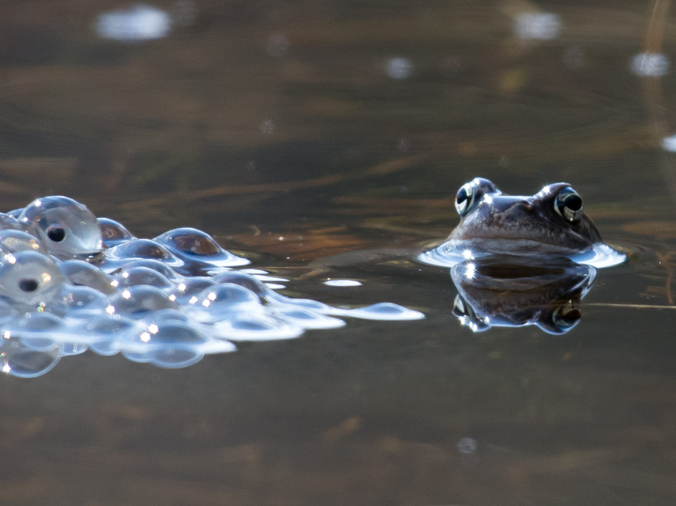 Valokuvaaja: jutta kirkkala Valokuvaaja: jutta kirkkala