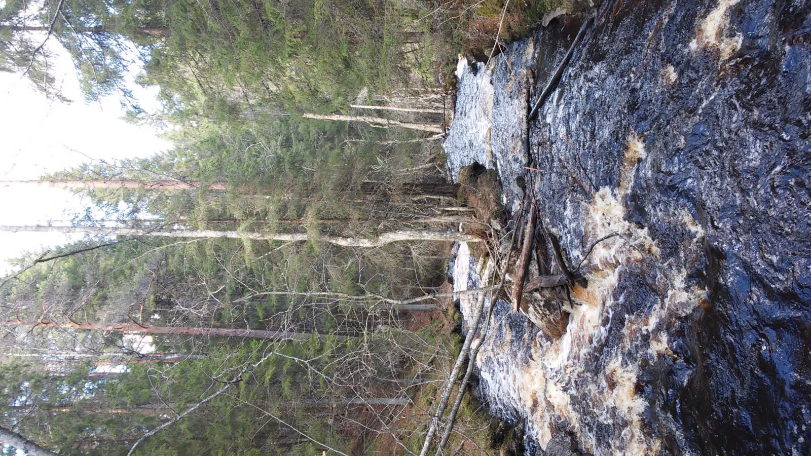 Valokuvaaja: Marianna Jämsä