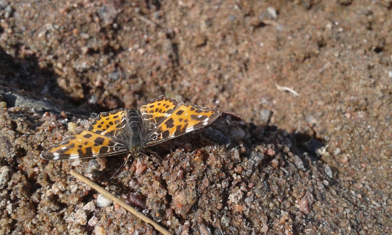 Valokuvaaja: Jouni Nevalainen