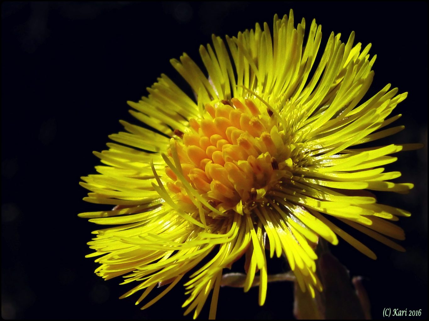 Valokuvaaja: Kari Saarinen