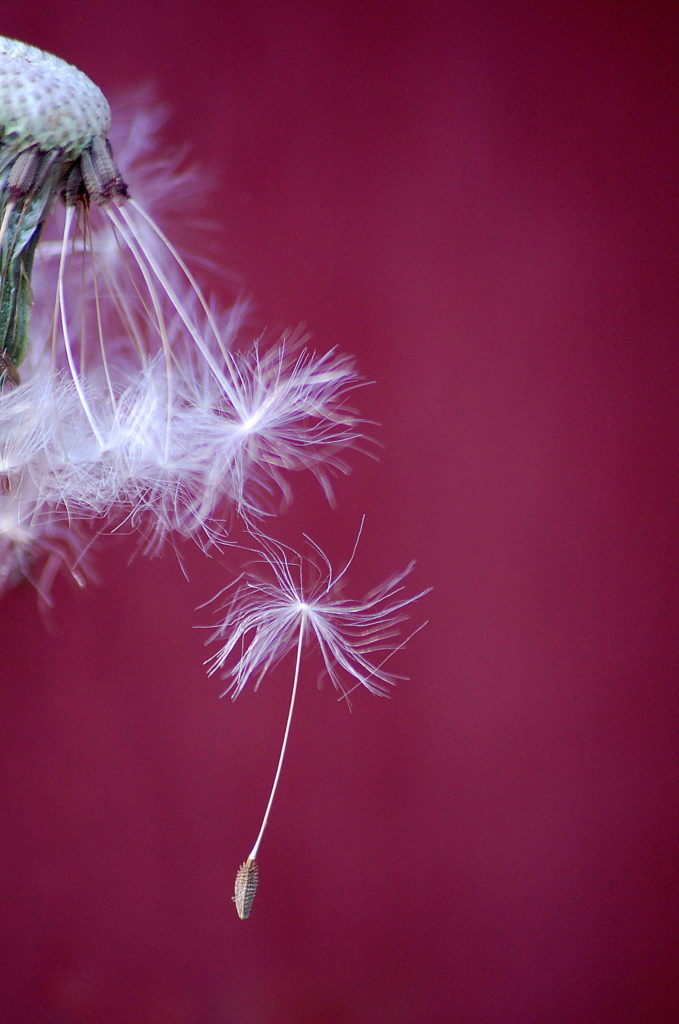 Valokuvaaja: Eija Varjola