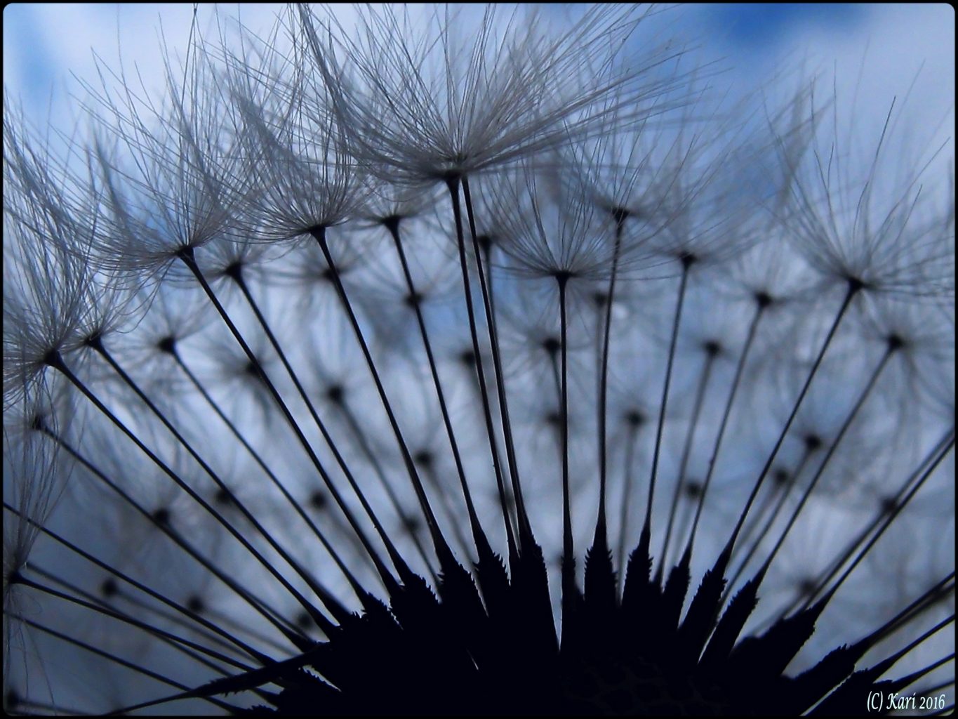 Valokuvaaja: Kari Saarinen