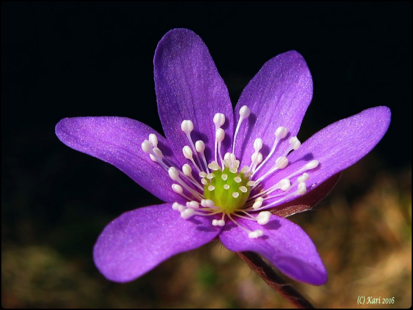 Valokuvaaja: Kari Saarinen