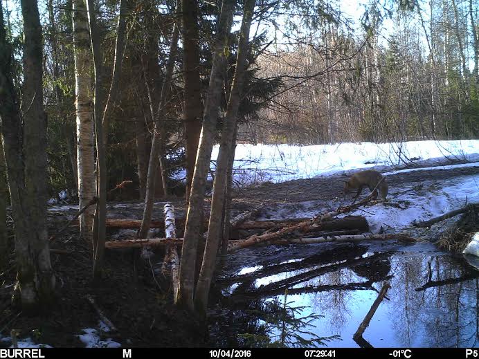 Valokuvaaja: Hannu Rissanen