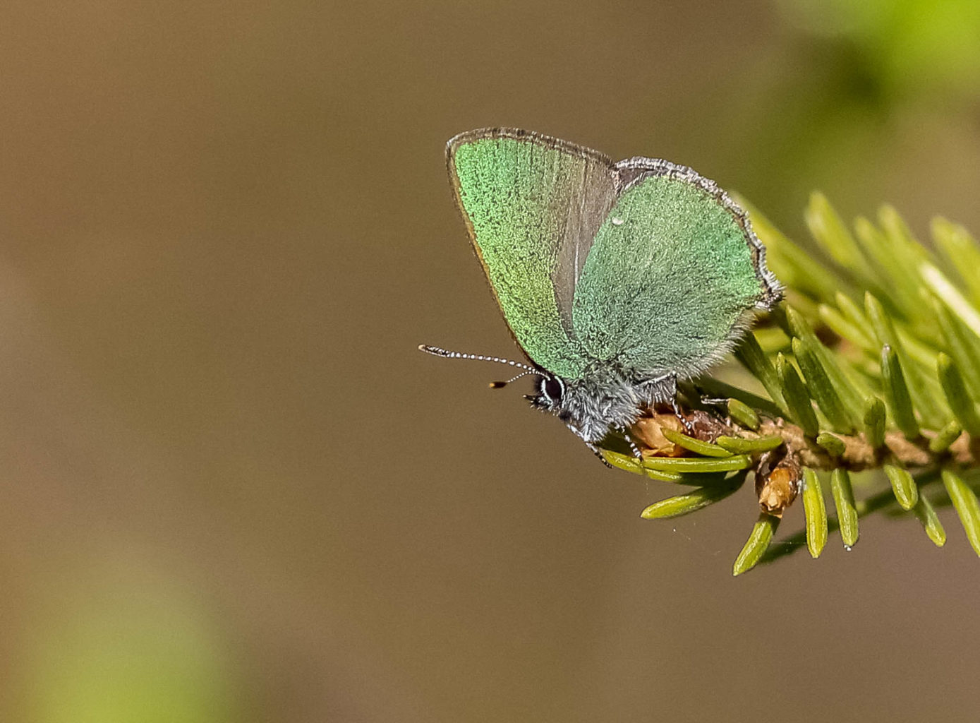 Valokuvaaja: Markku Salonen