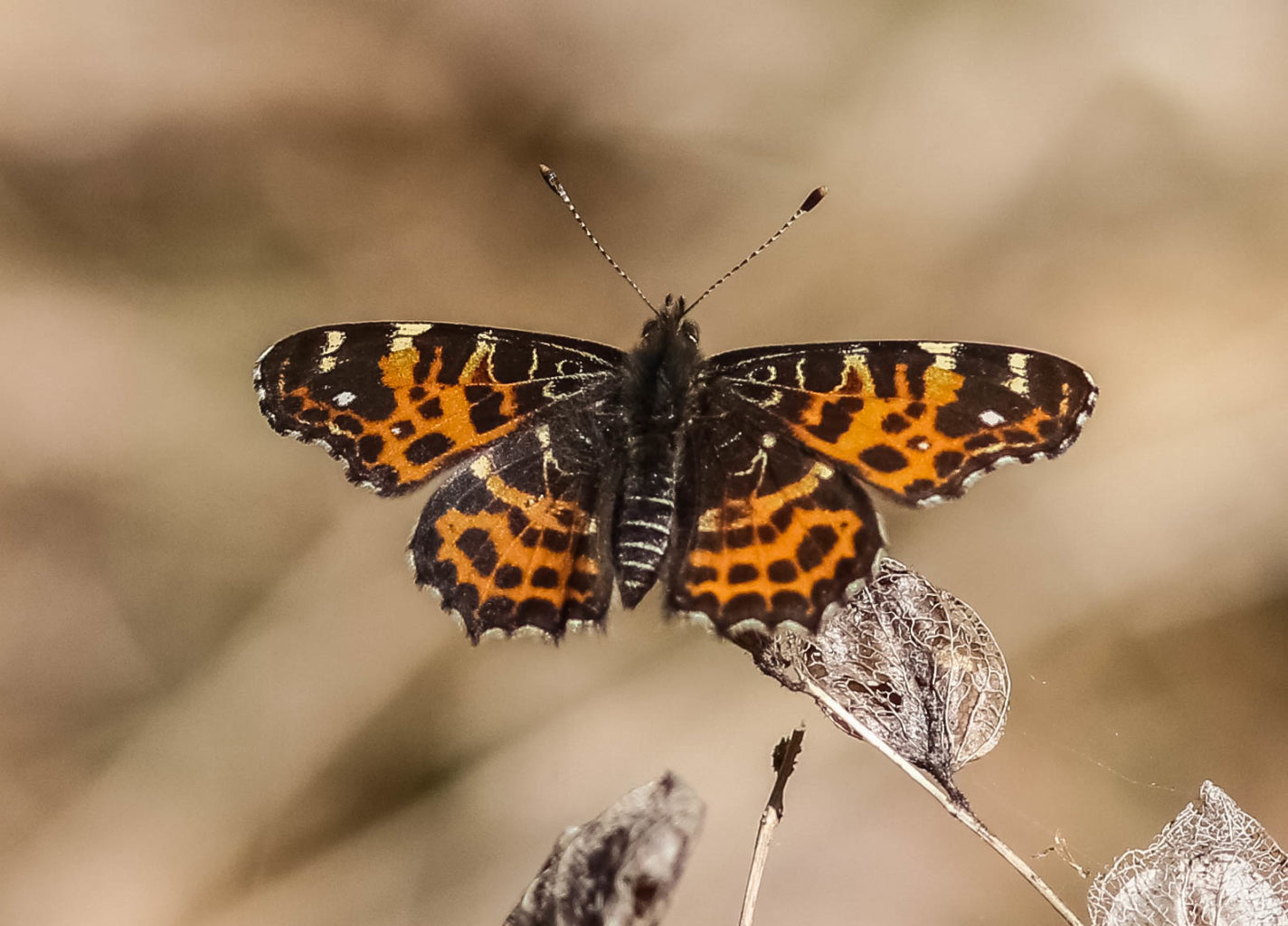 Valokuvaaja: Markku Salonen