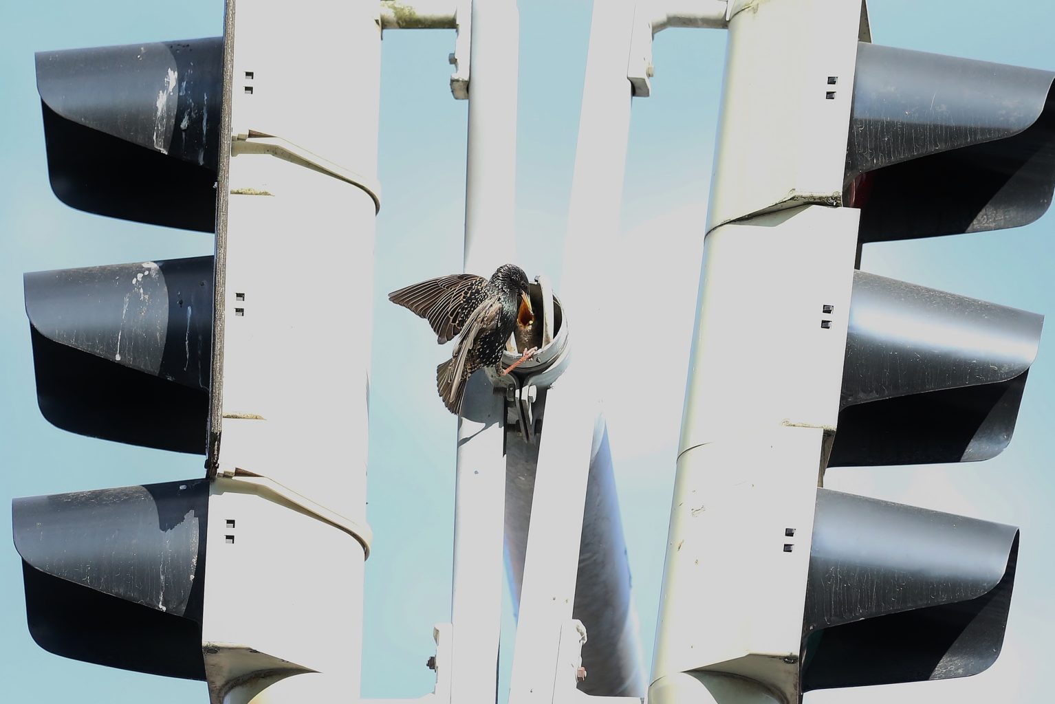 Valokuvaaja: Tuulikki Piikkilä