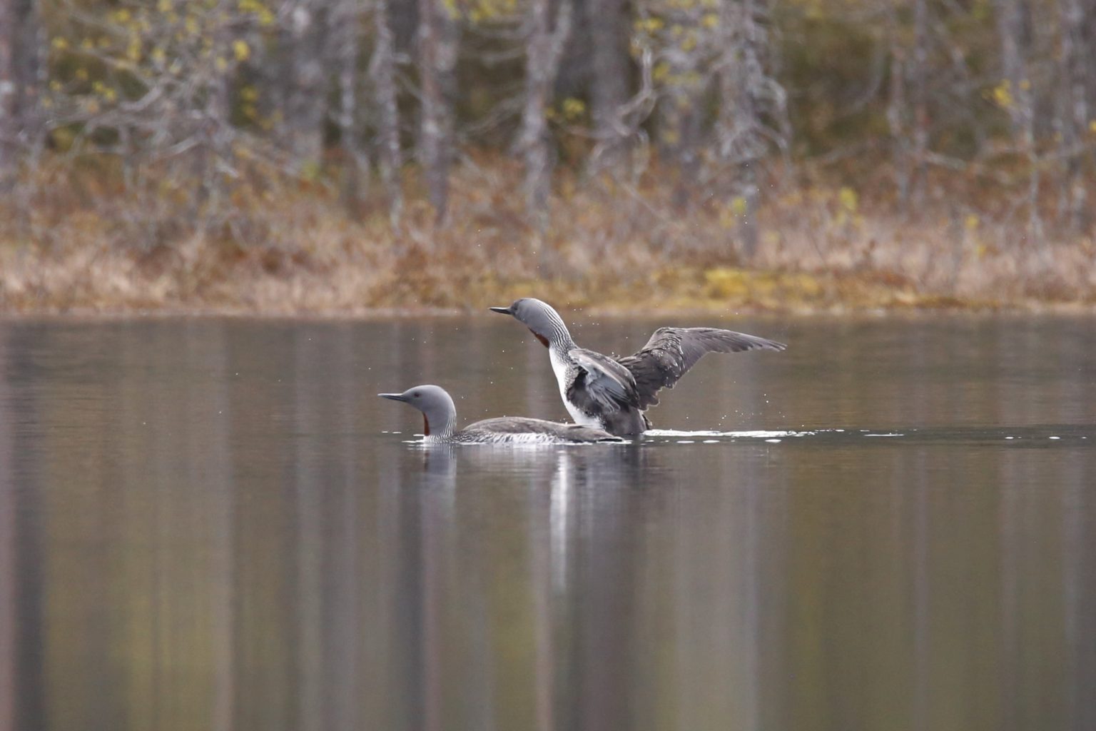 Valokuvaaja: Anne Moilanen