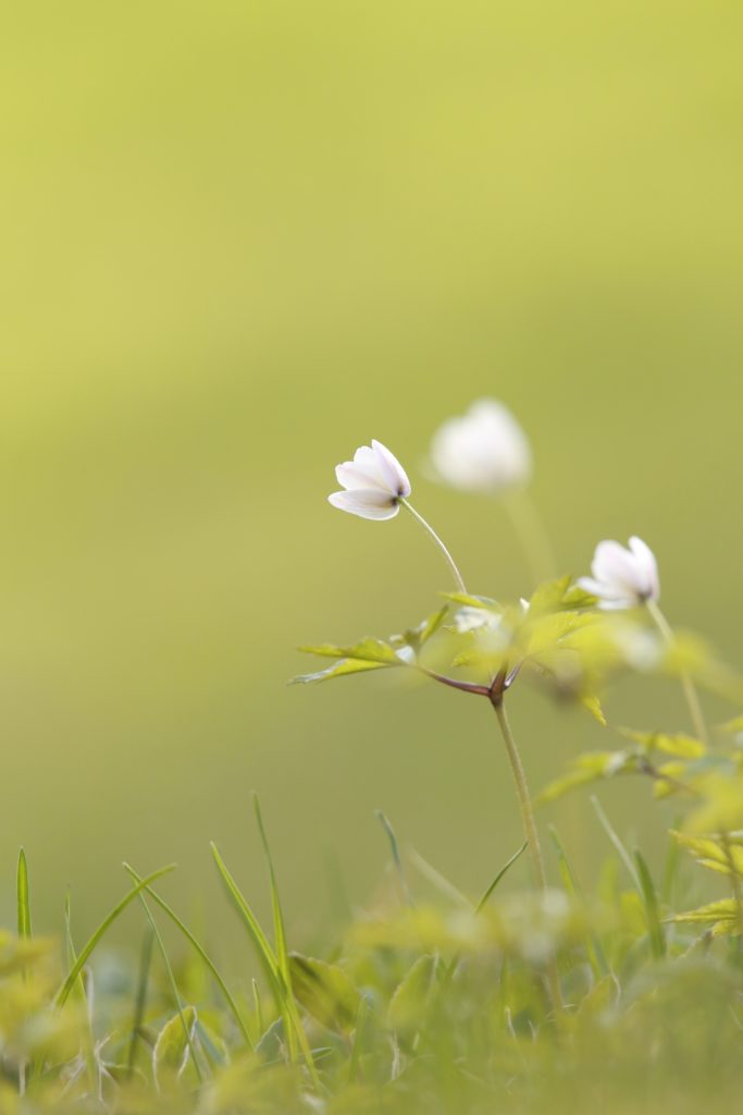 Valokuvaaja: Anne Moilanen
