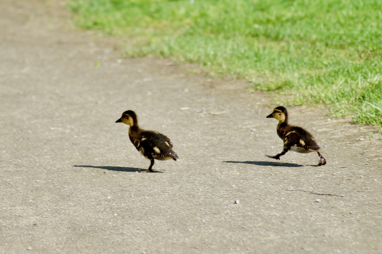 Valokuvaaja: Maarit Siitonen