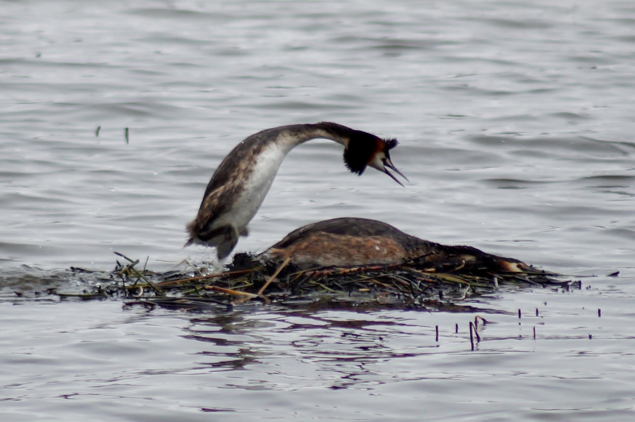 Valokuvaaja: Maarit Siitonen