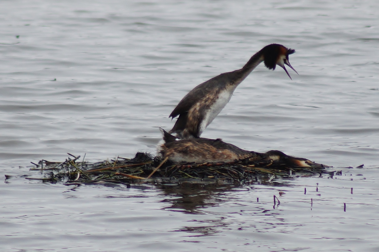 Valokuvaaja: Maarit Siitonen