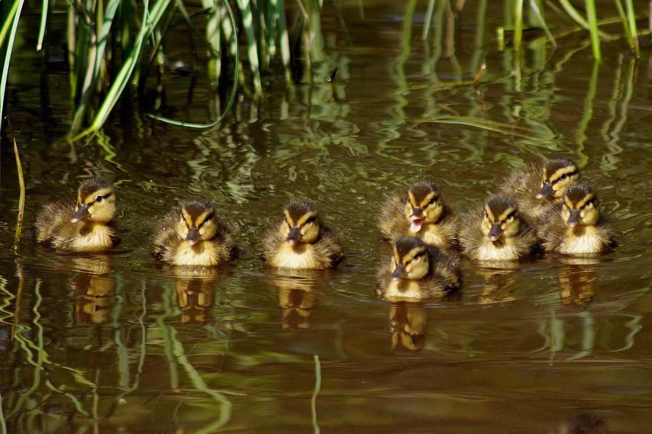 Valokuvaaja: Maarit Siitonen