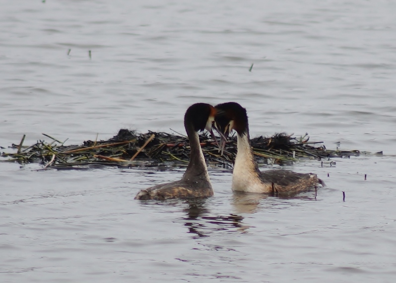 Valokuvaaja: Maarit Siitonen