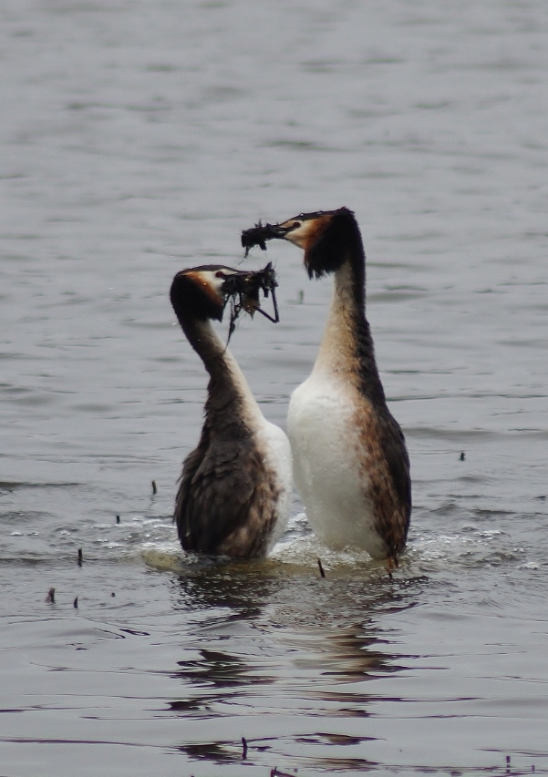 Valokuvaaja: Maarit Siitonen