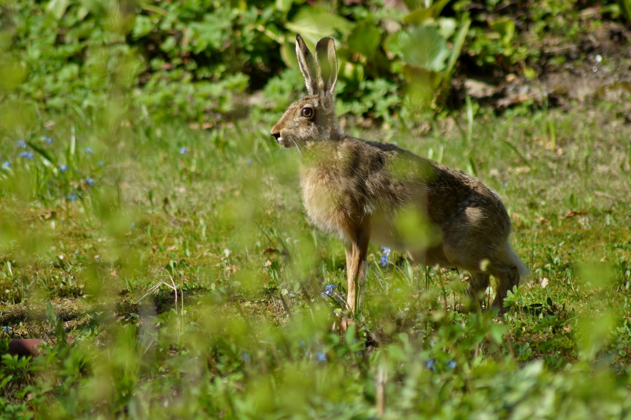 Valokuvaaja: Maarit Siitonen