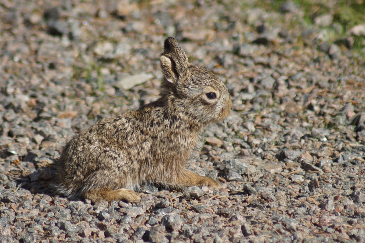 Valokuvaaja: Maarit Siitonen
