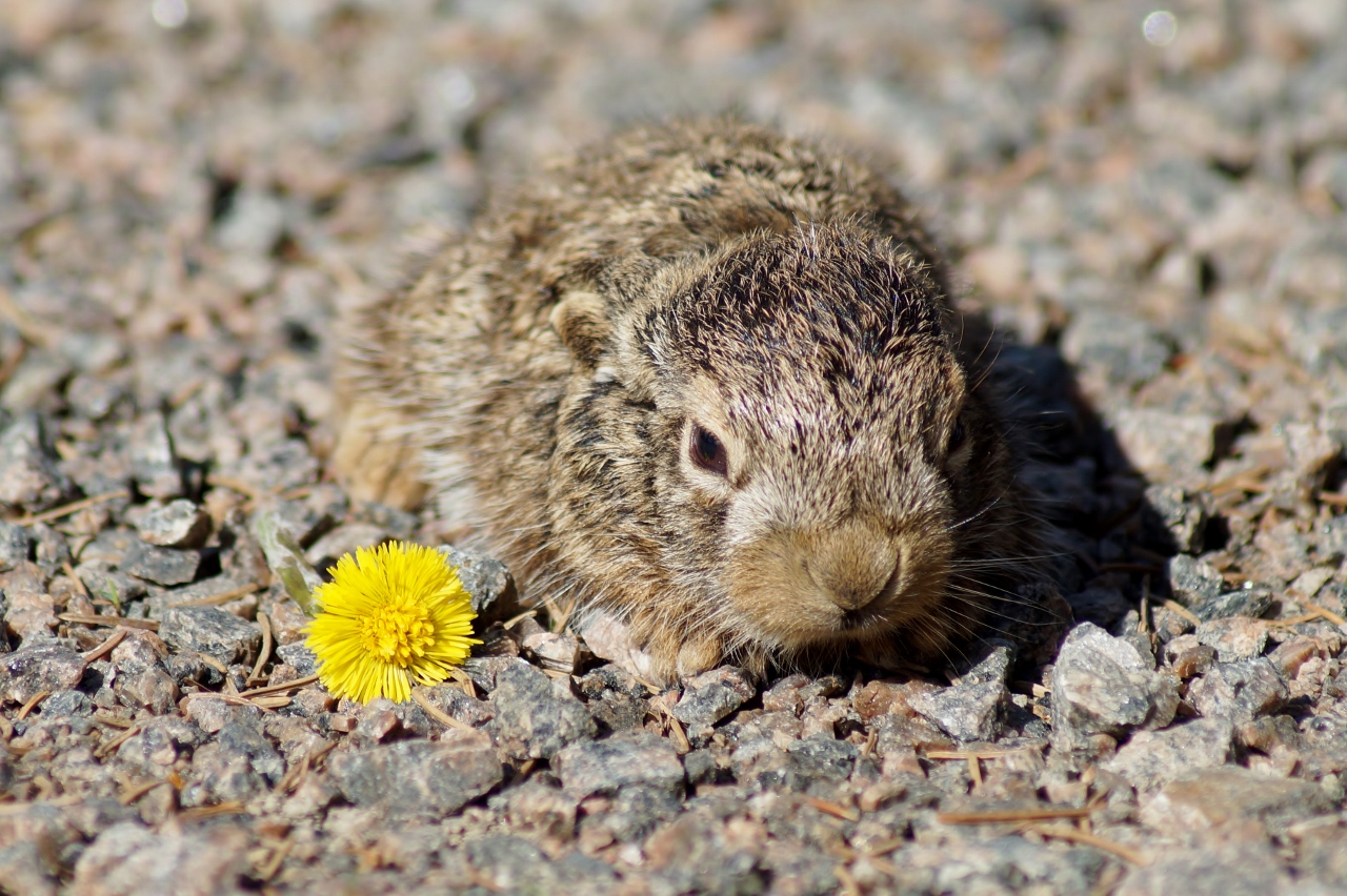 Valokuvaaja: Maarit Siitonen