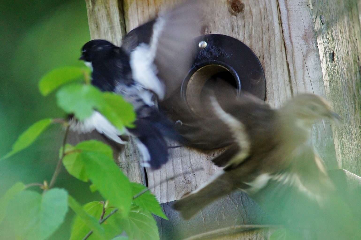 Valokuvaaja: Tuulikki Piikkilä
