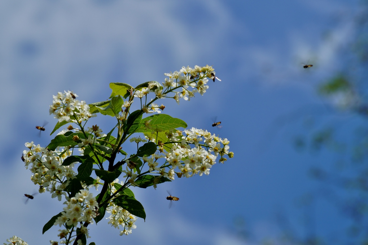 Valokuvaaja: Maarit Siitonen