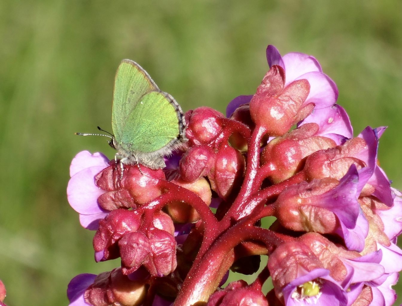 Valokuvaaja: Liisa Niiva-Korpela