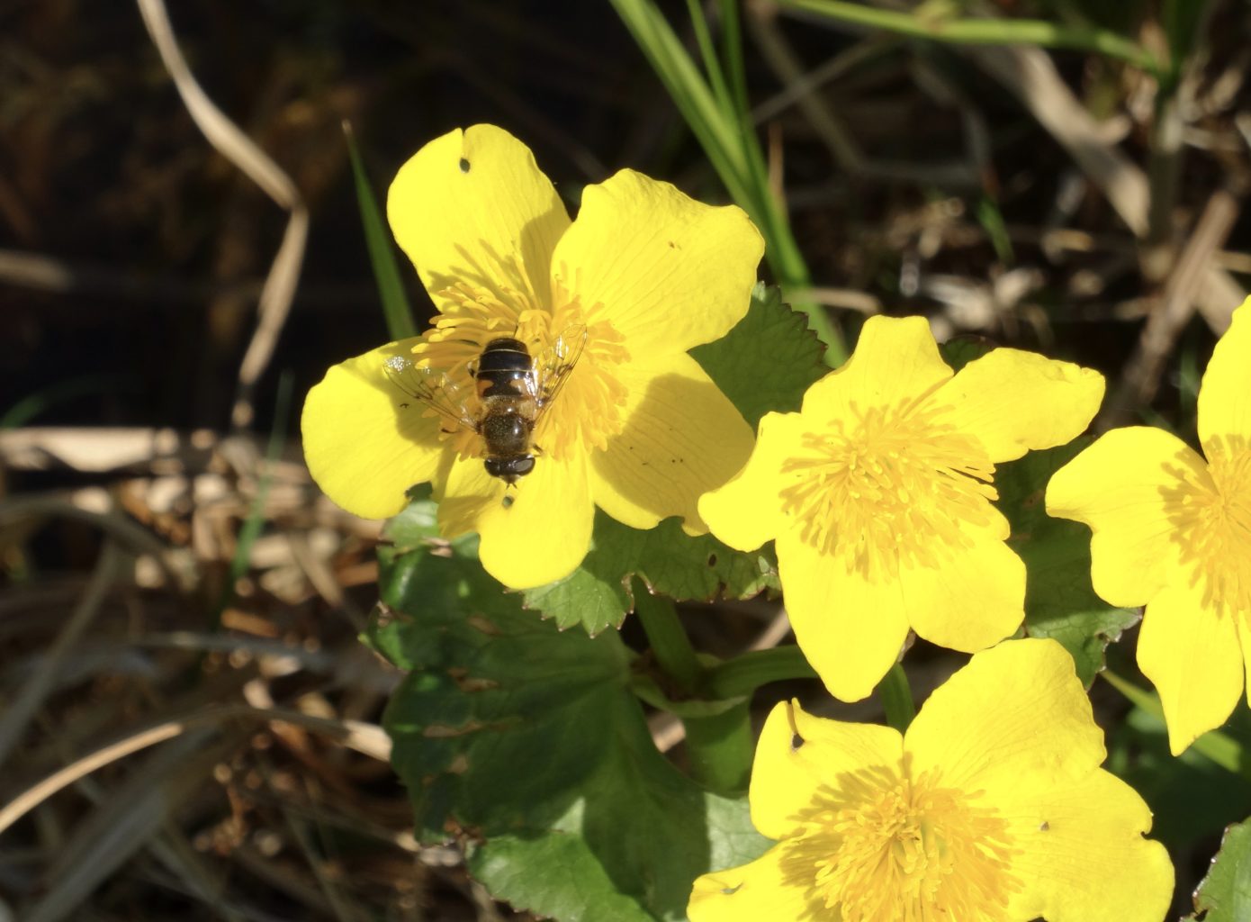 Valokuvaaja: Liisa Niiva-Korpela