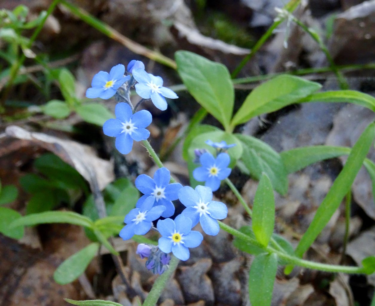 Valokuvaaja: Liisa Niiva-Korpela