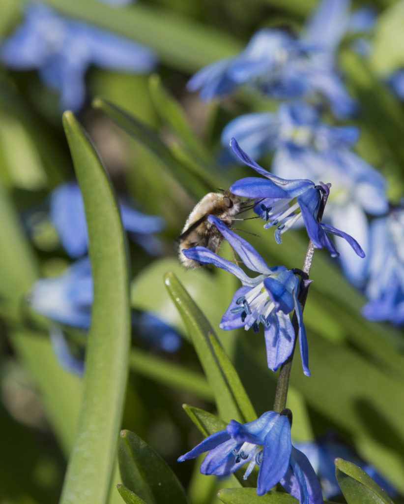 Valokuvaaja: Susanna Mäenpää