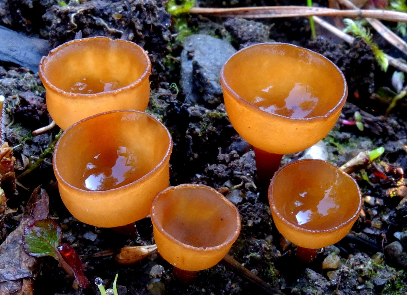 Valokuvaaja: Hannu Rasiranta