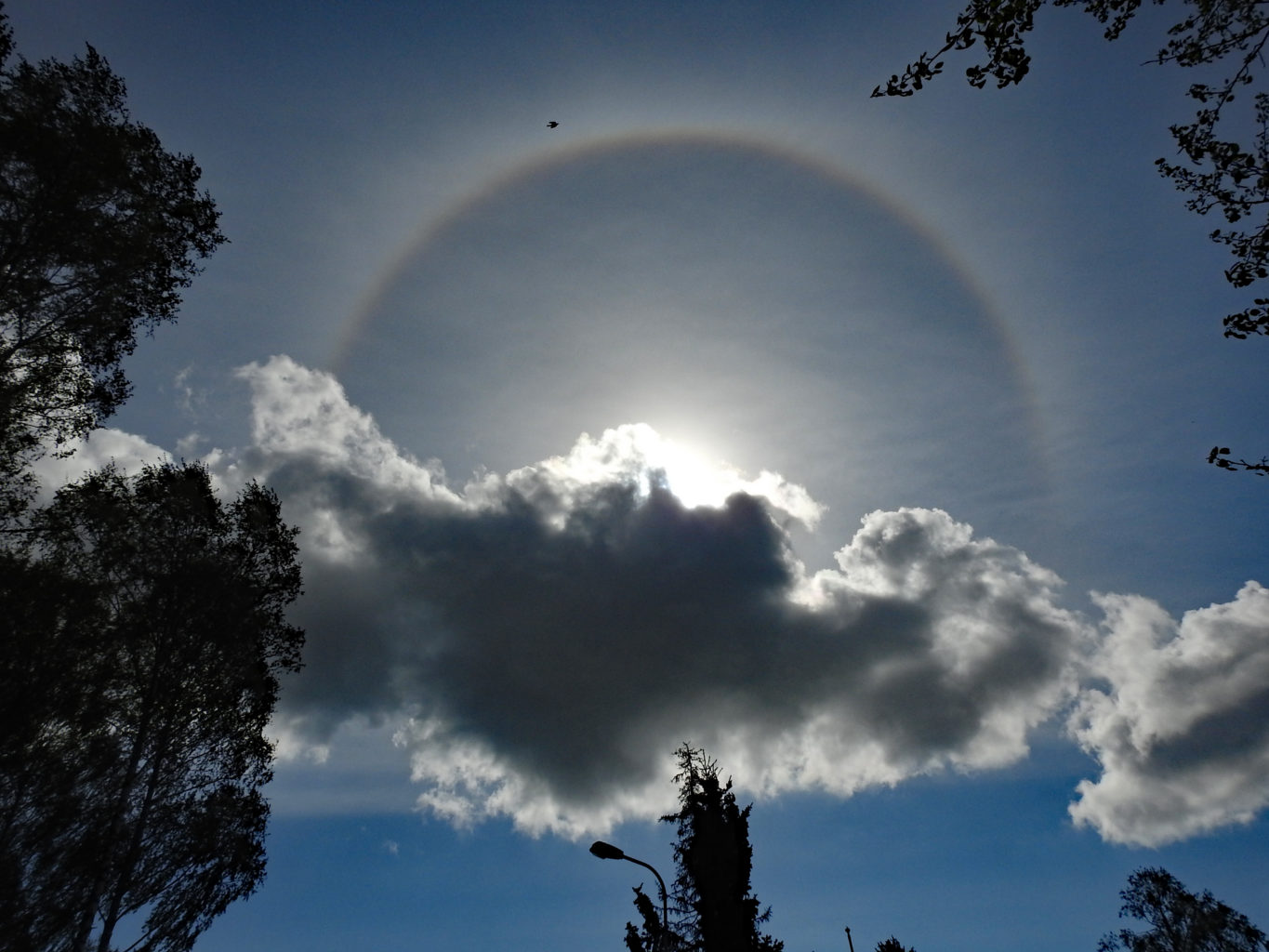 Valokuvaaja: Paavo Siukonen