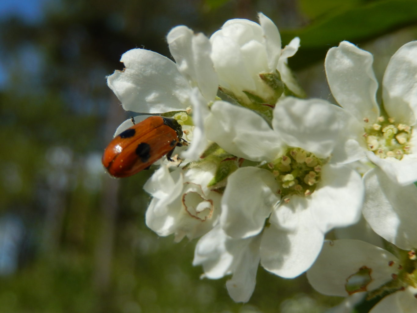 Valokuvaaja: Riitta Marjamäki