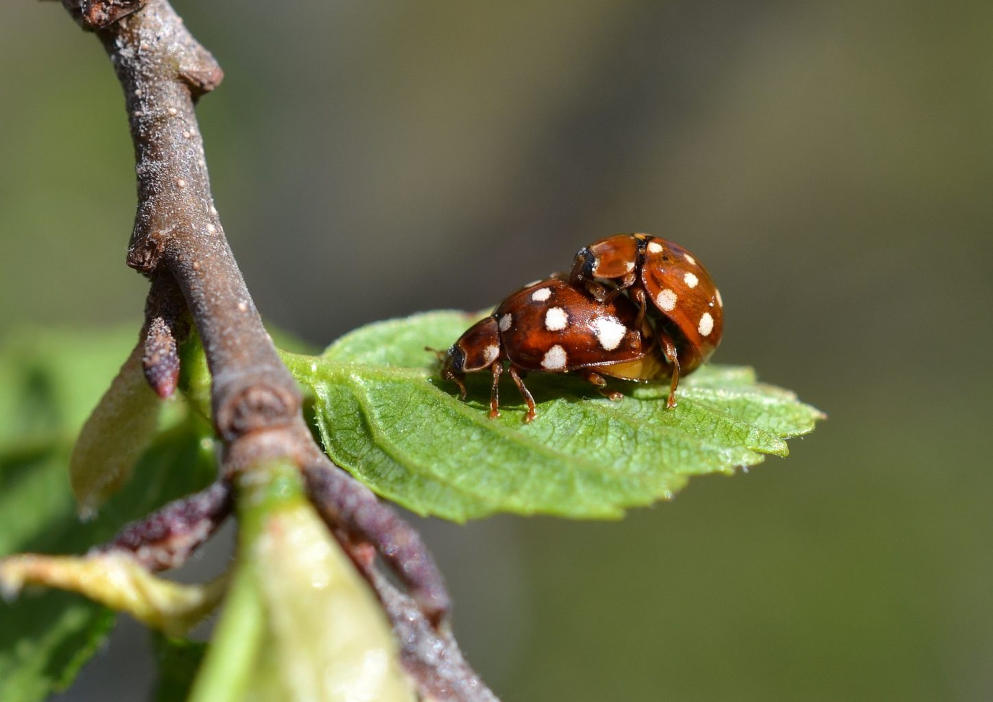 Valokuvaaja: Seija Annala
