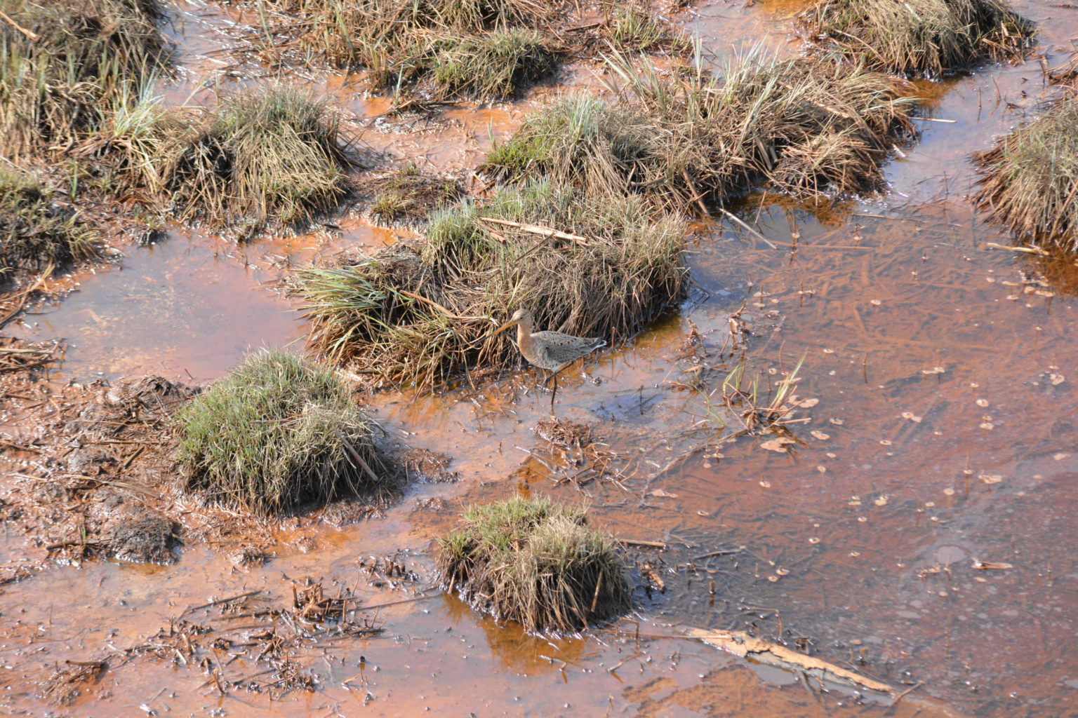 Valokuvaaja: Maria Peltola Valokuvaaja: Maria Peltola