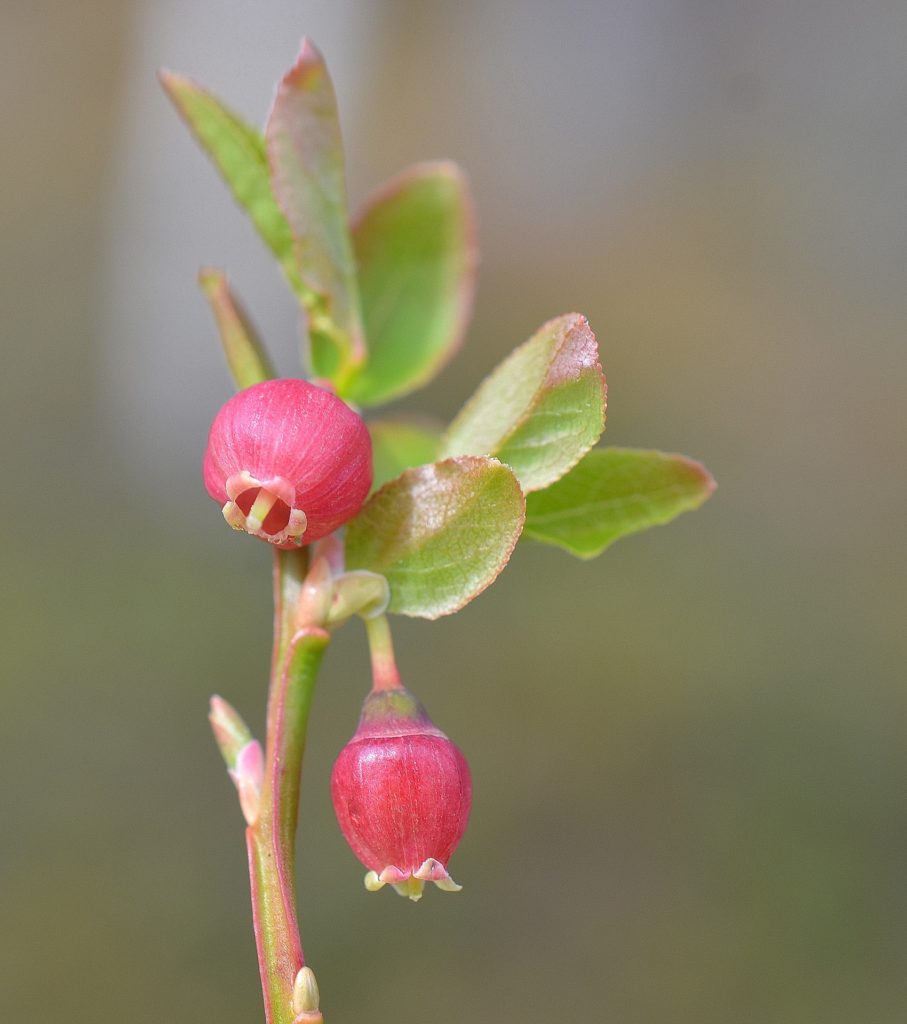 Valokuvaaja: Seija Annala Valokuvaaja: Seija Annala